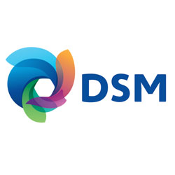 DSM-logo