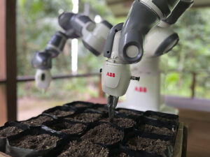 ABB robot planting seeds in little containers in a wooden crate.