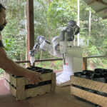 ABB Robotics-Amazon reforestation pilot-YuMi takes on repetitive task to free up Junglekeeper ranger to undertake more value-add tasks